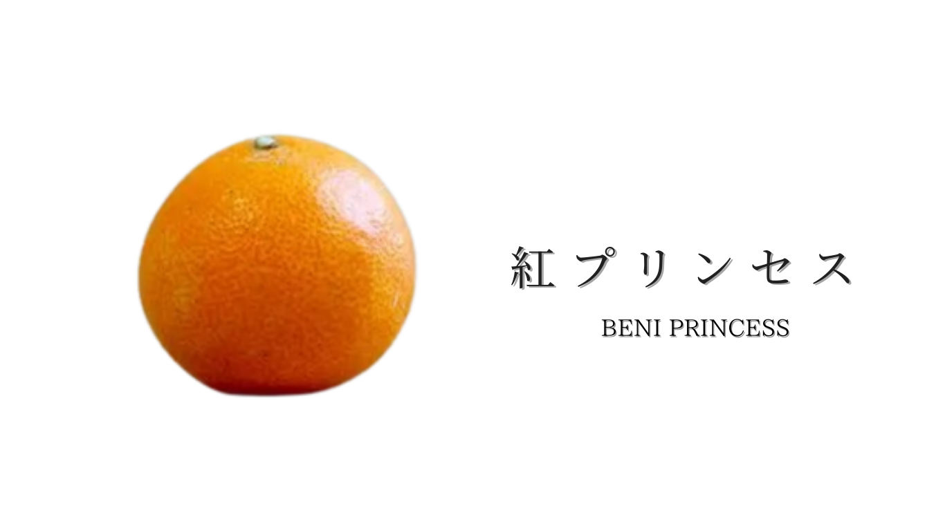 紅プリンセス