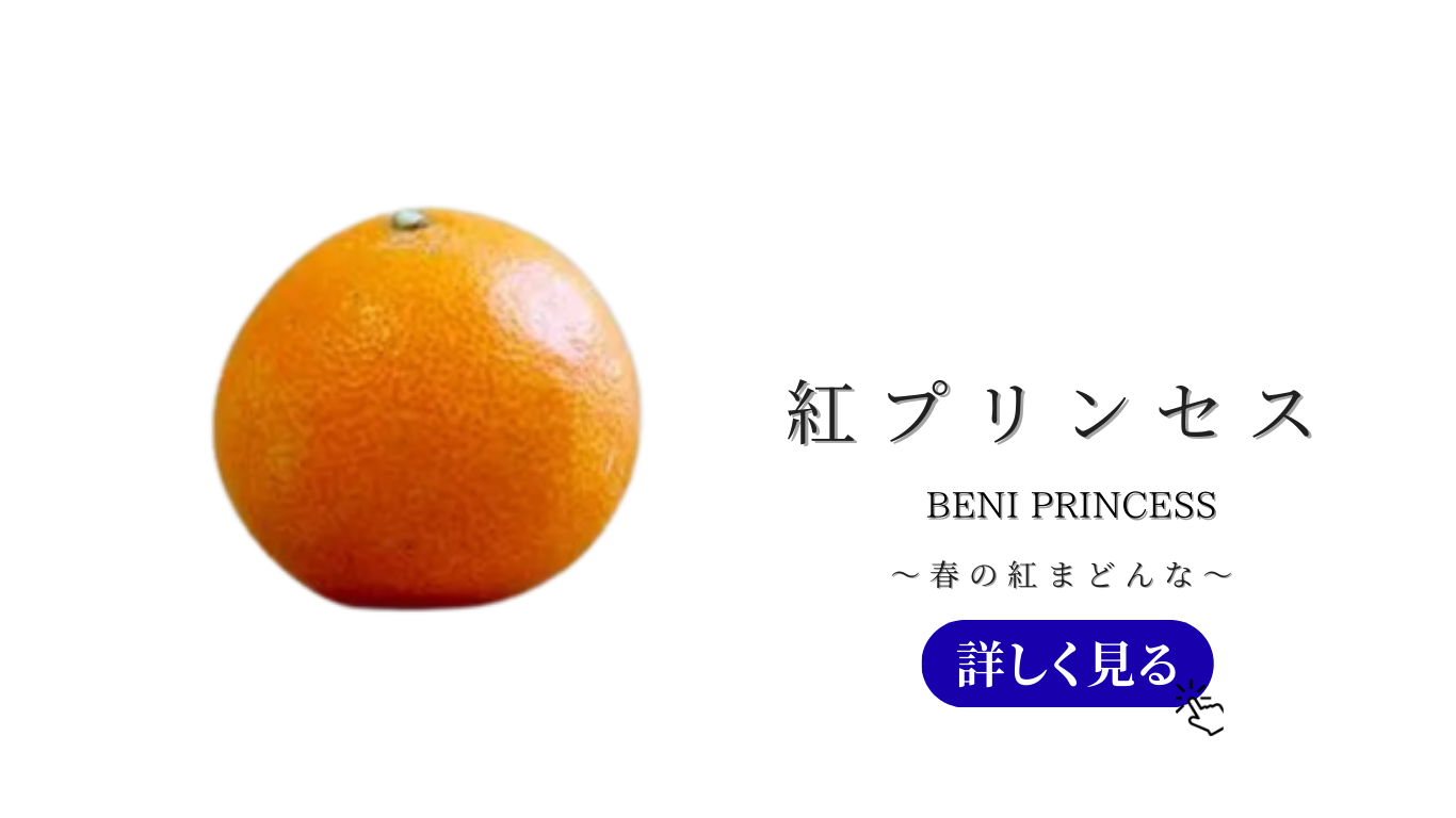 果物ナビ (36).png