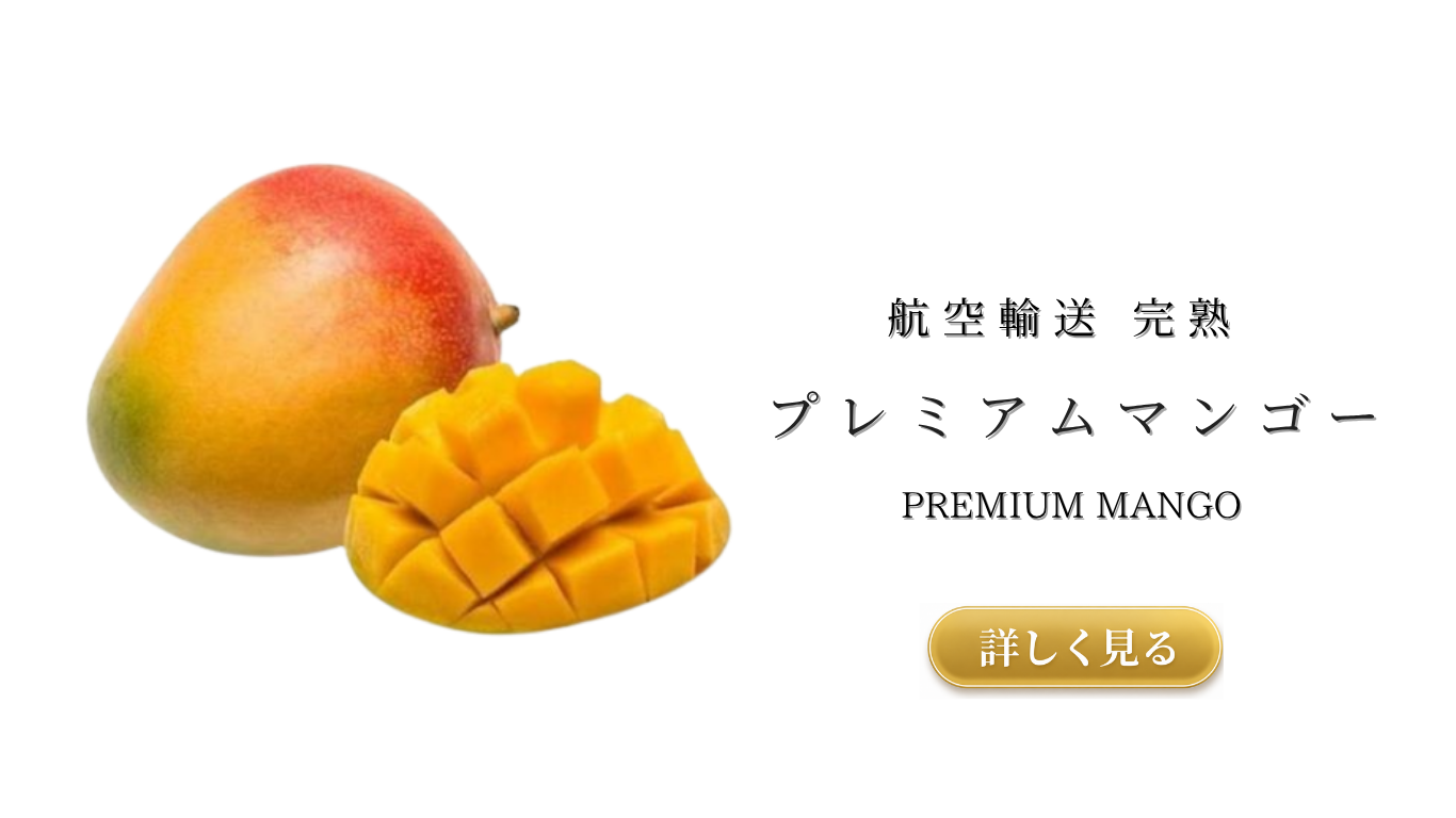 メニュー　バナー (9).png