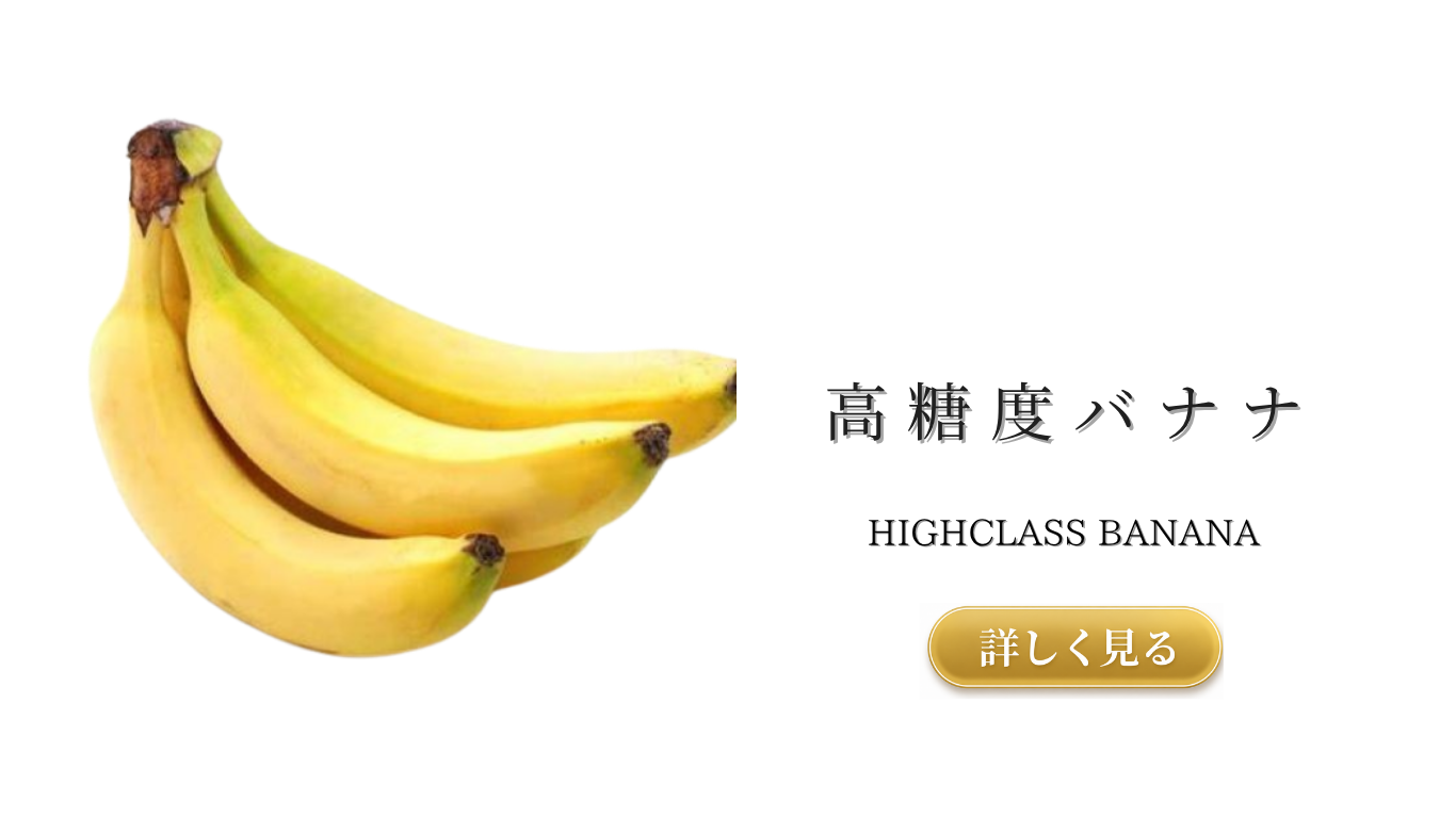 果物ナビ (17).png