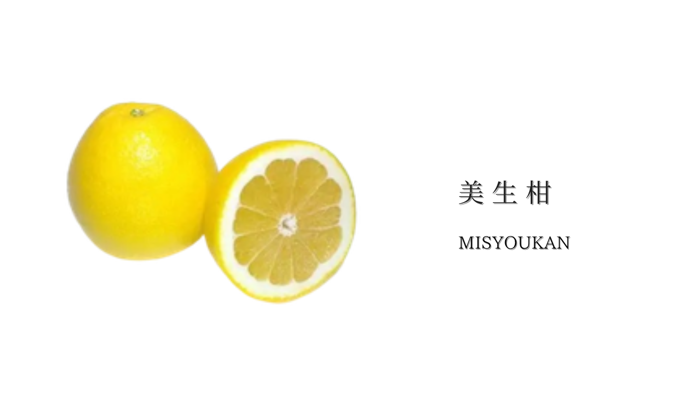 果物ナビ (46).png