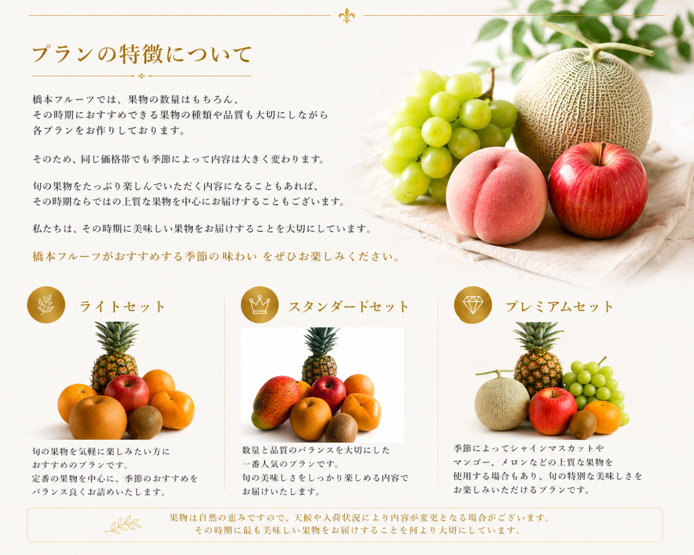 名称未設定のデザイン (29).png