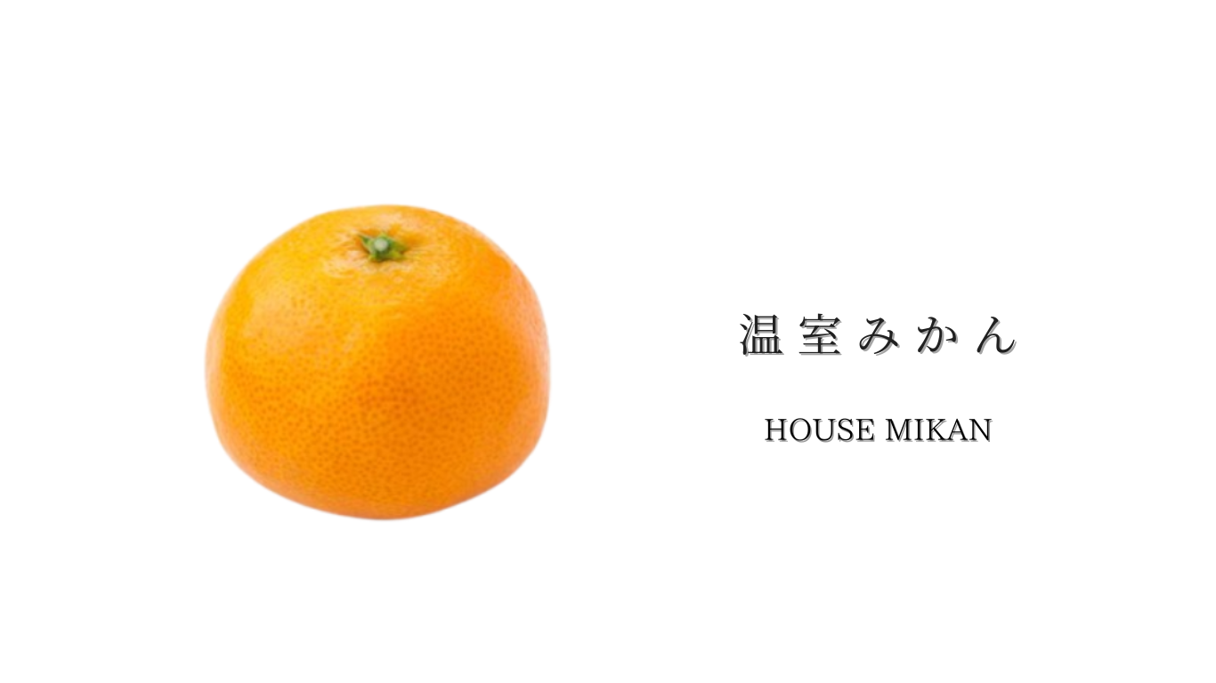 高級温室みかん