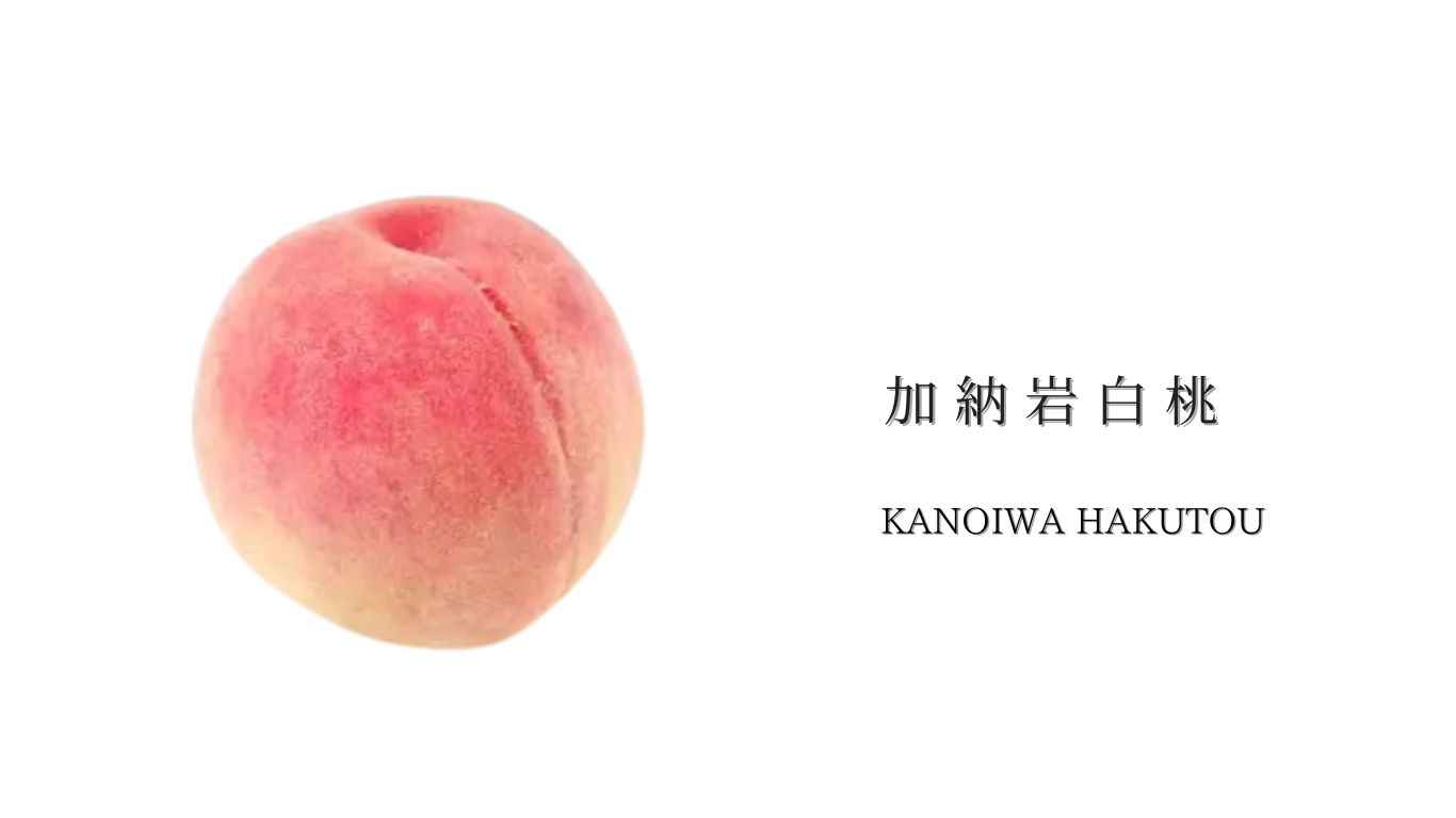 加納岩白桃