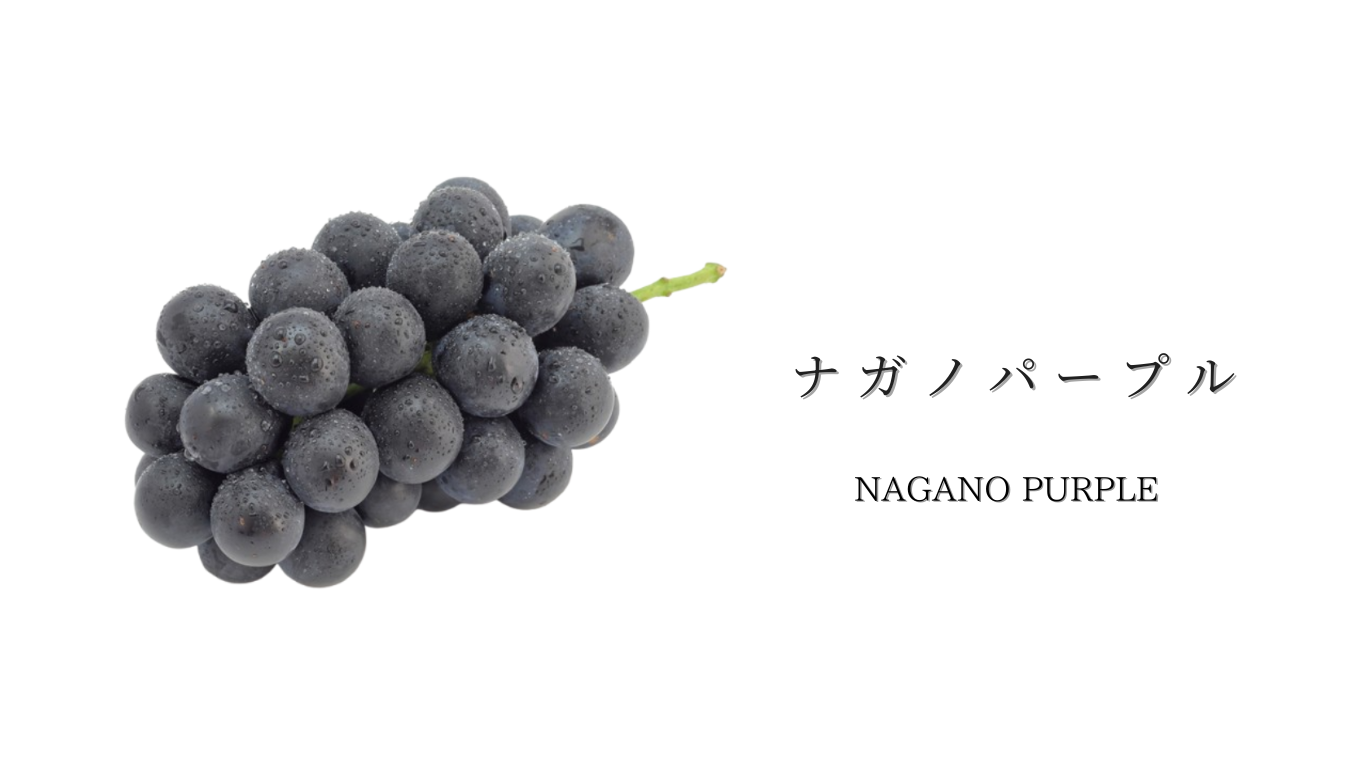 ナガノパープル