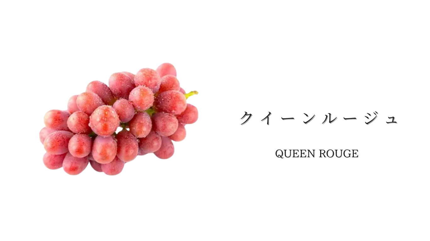 クイーンルージュ