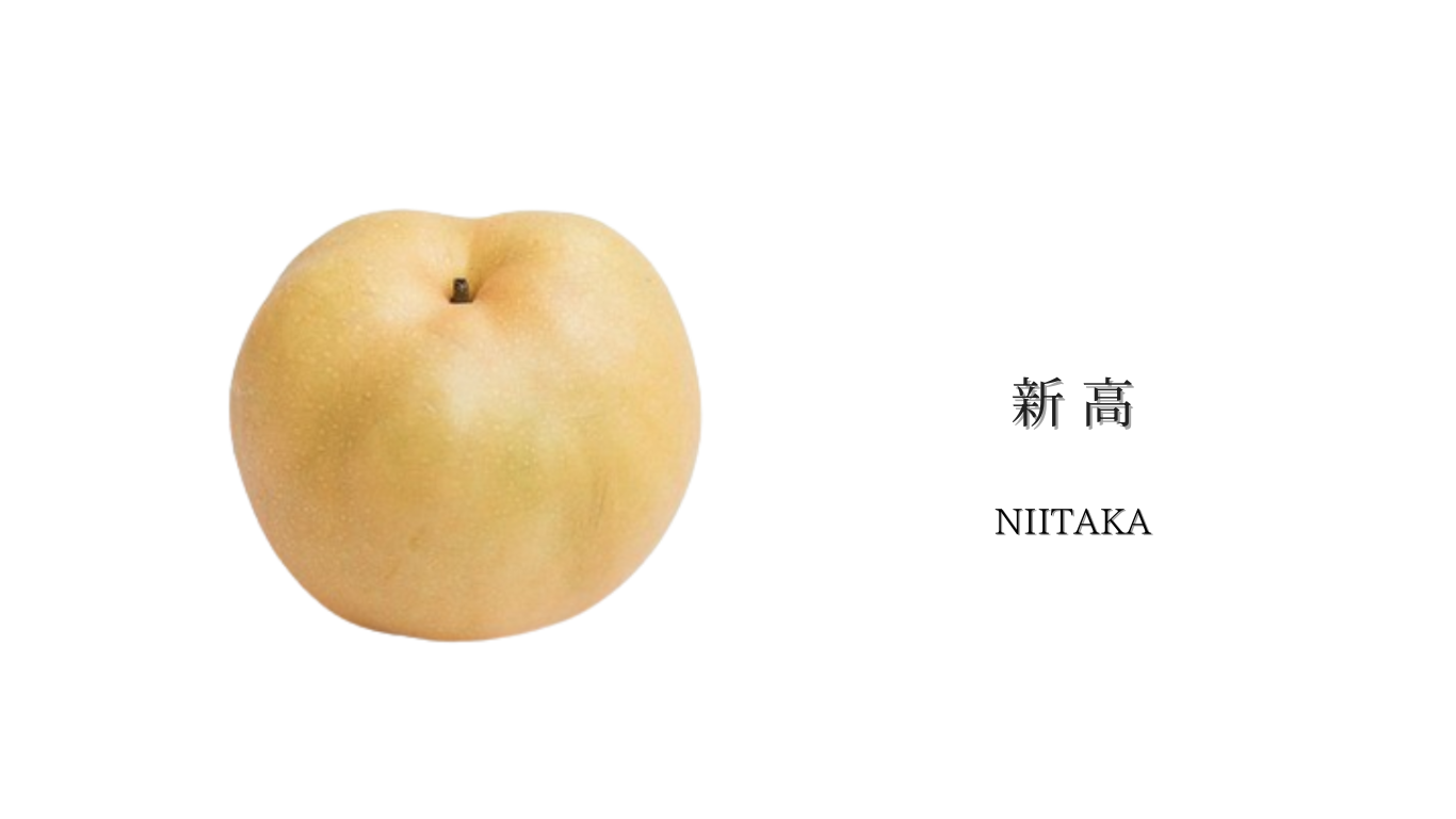 新高梨