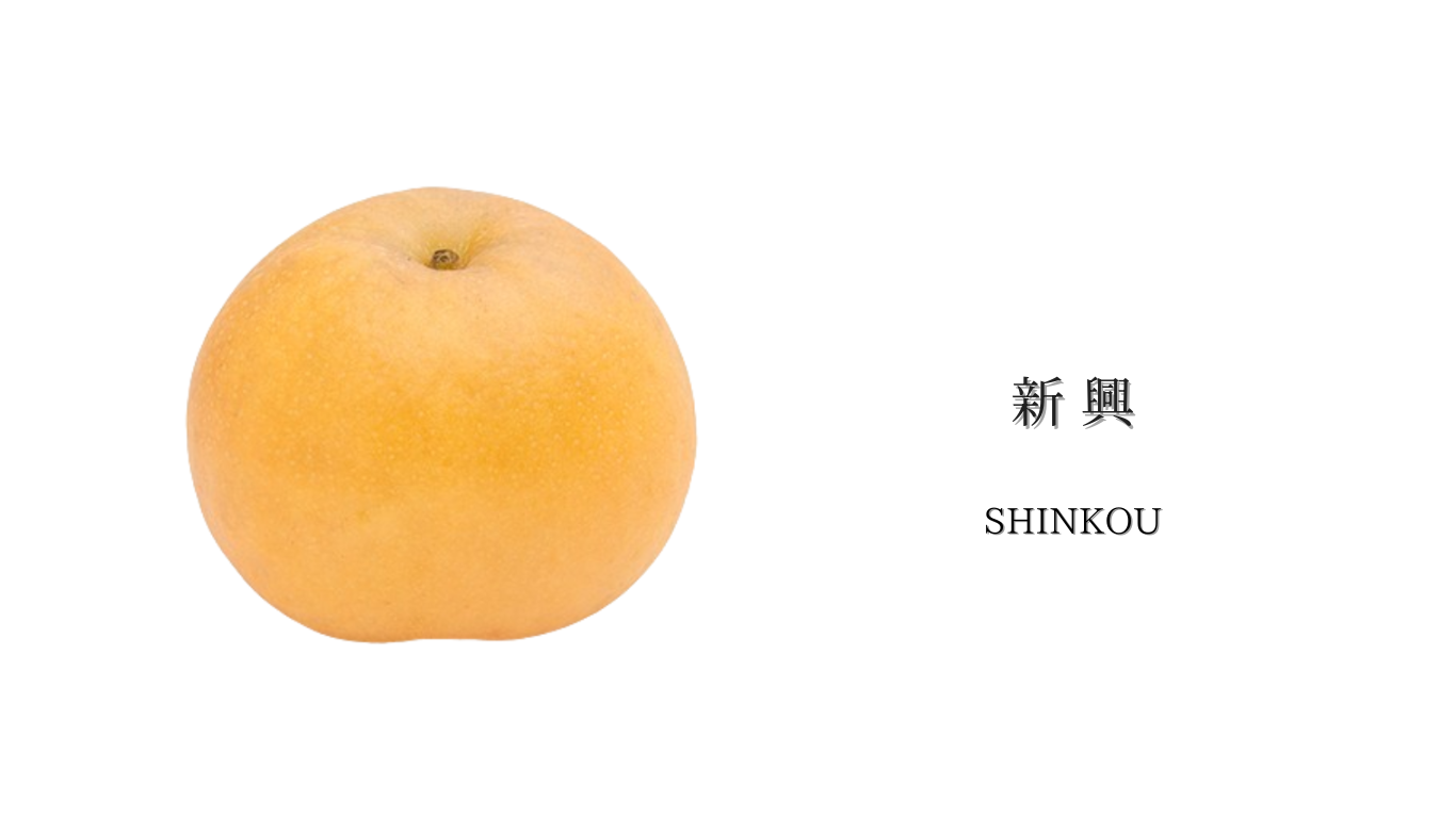 新興