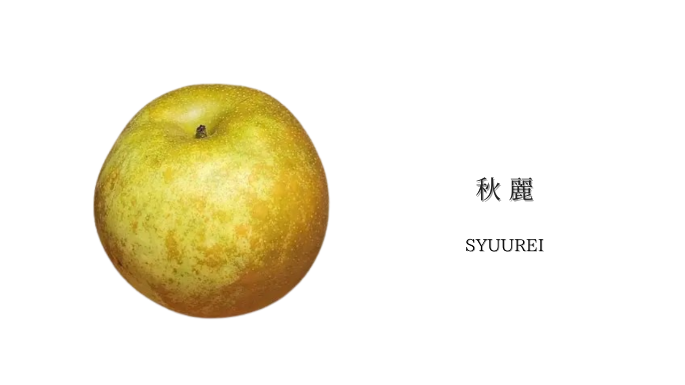 秋麗
