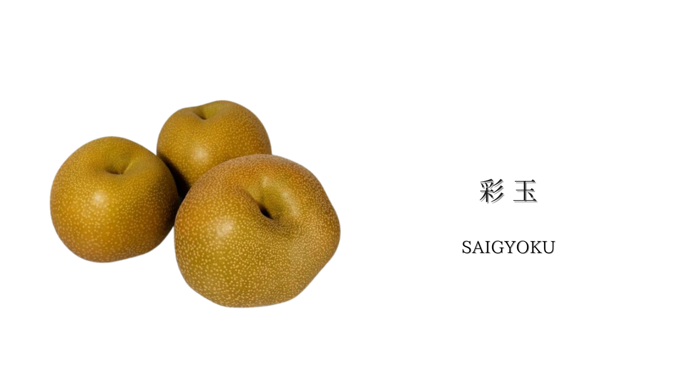 彩玉