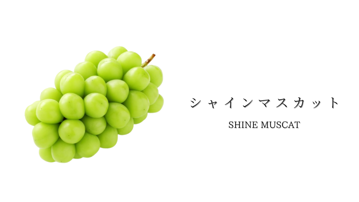 果物ナビ (84).png