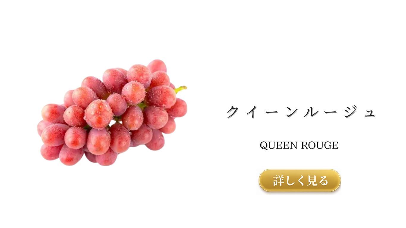 果物ナビ (86).png