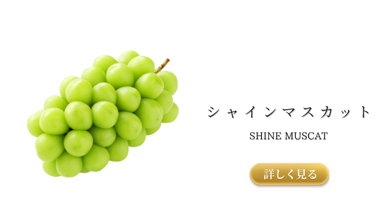 果物ナビ (83).png