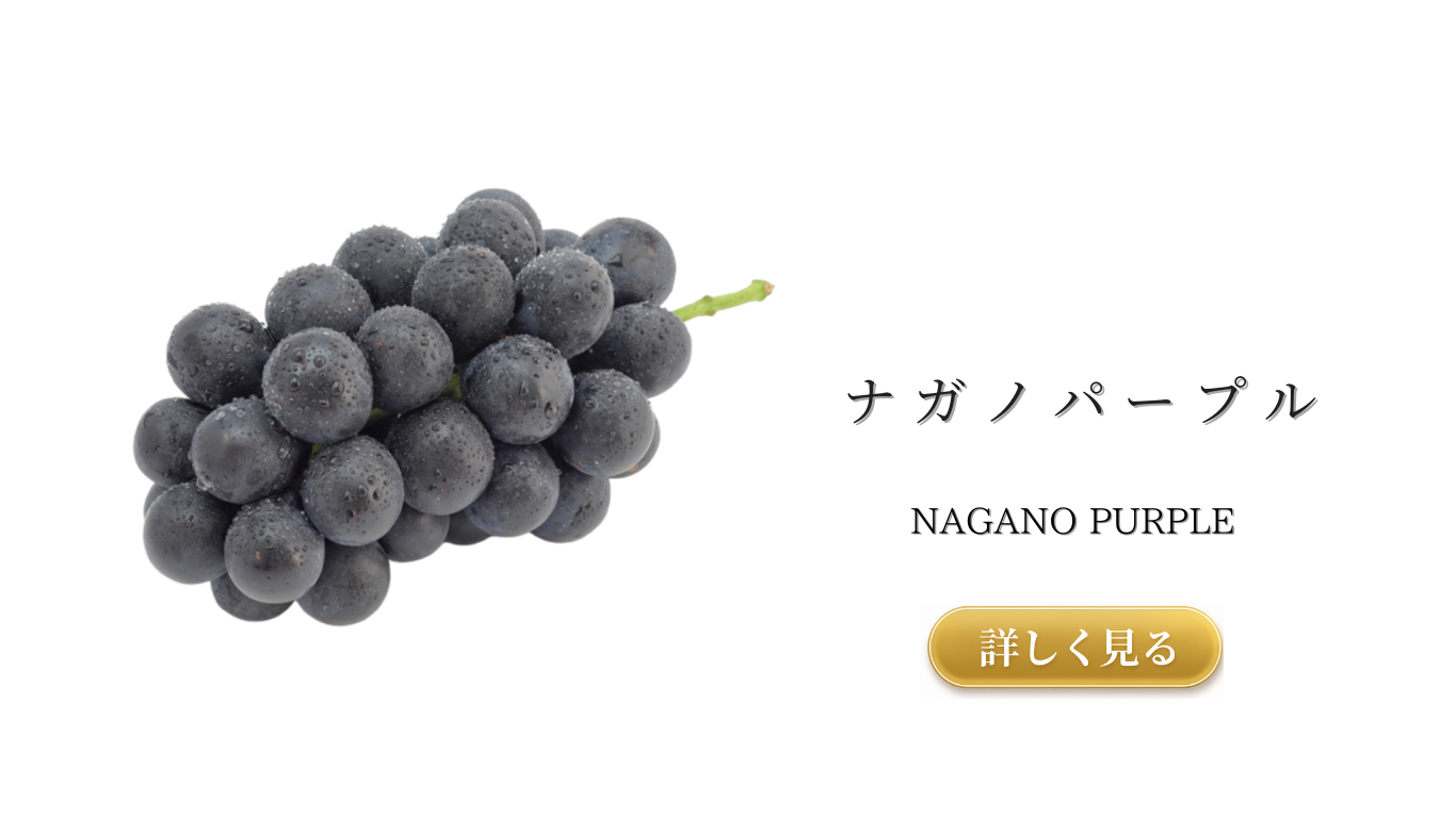 果物ナビ (85).png