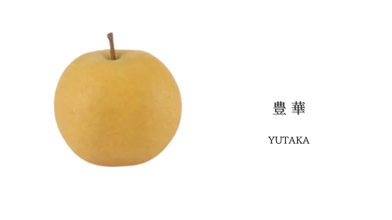 豊華梨（ゆたか）