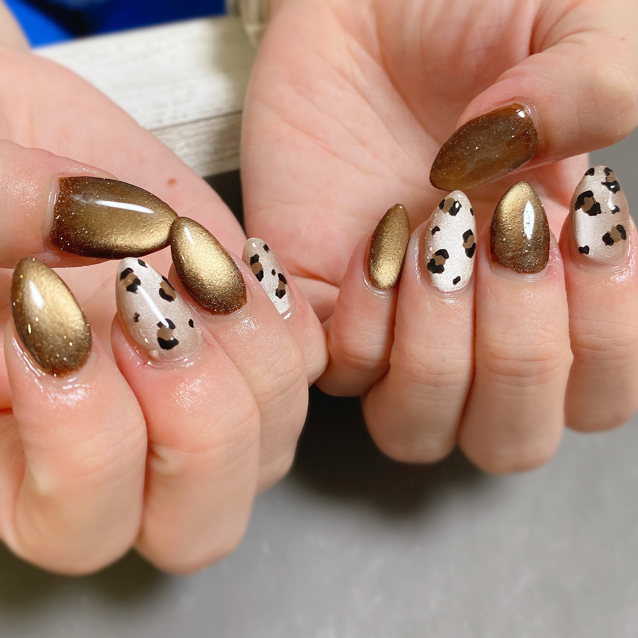 マグネット×レオパード