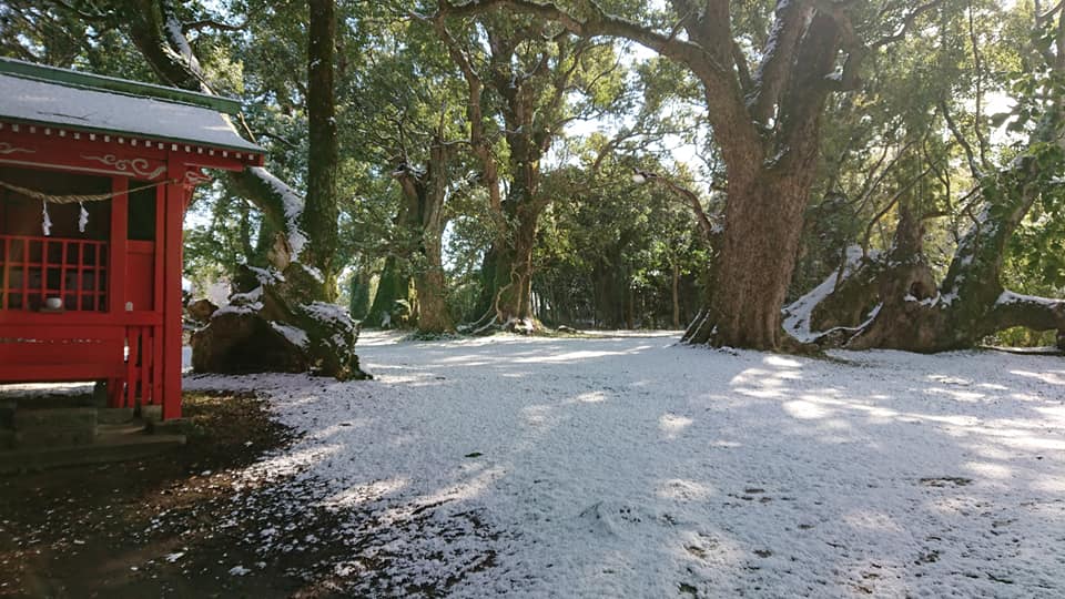 〜雪化粧〜　散歩道