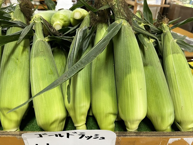 ★とうもろこし　大人気です！