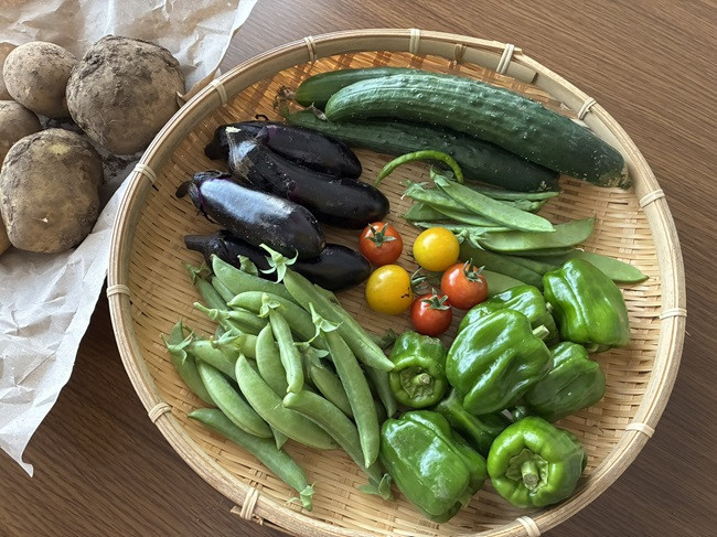 ★定番野菜が安定しています