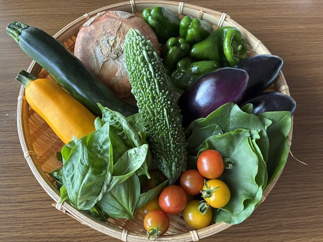 ★新鮮！夏野菜