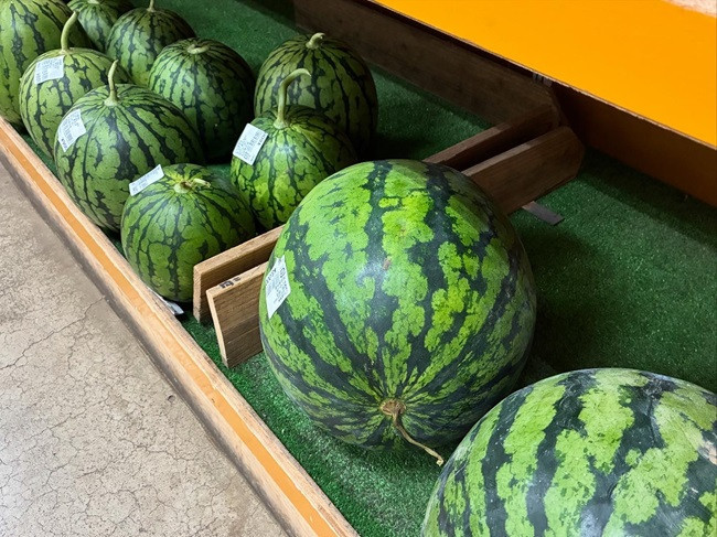 ★果物も美味しい