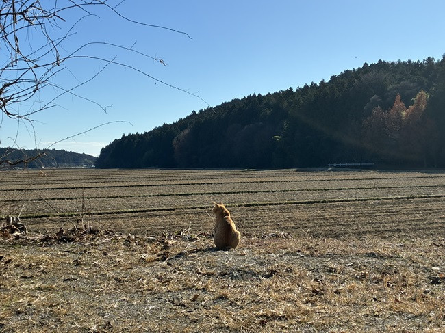 ★一年の無事に感謝