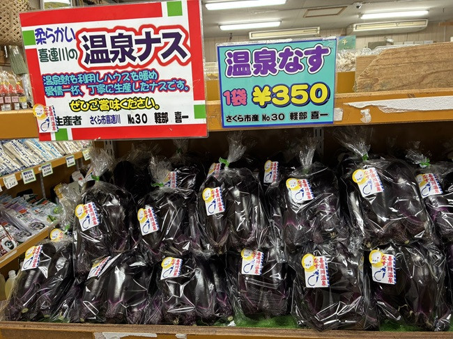 ★温泉なす　最盛期