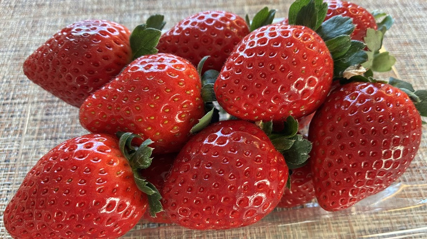 ★自慢のいちごです