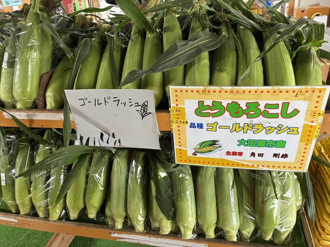 ★とうもろこし　ゴールドラッシュ