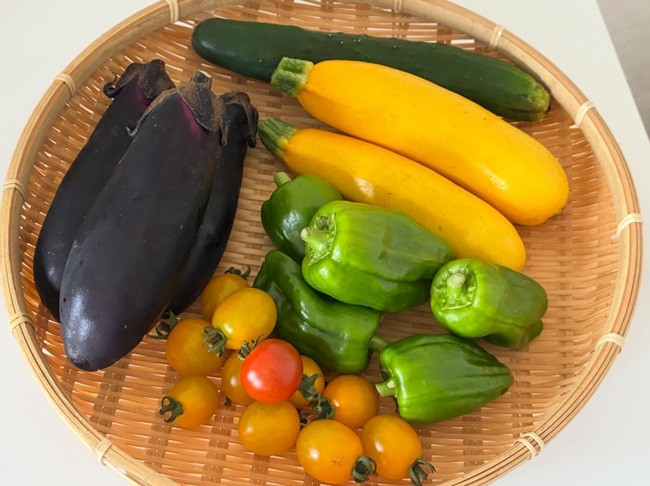 ★夏野菜、いろいろ