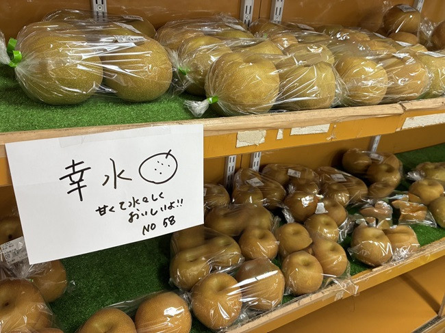 ★梨　販売中です