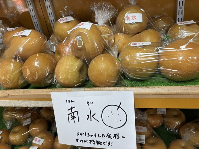 ★梨　販売中です