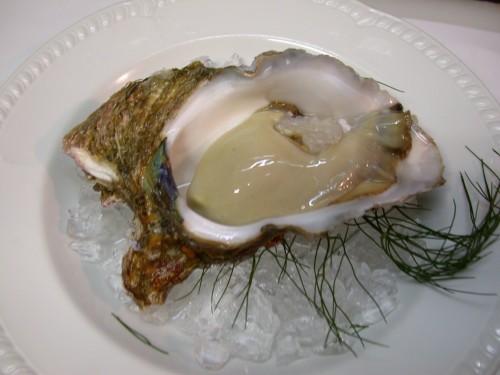 DSCN0911.JPG