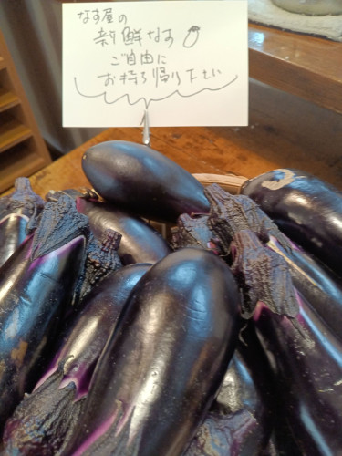 KIMG20250712_103255801.JPG