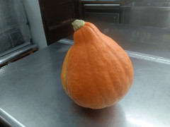 KIMG20250725_091433592.JPG