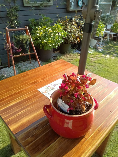 KIMG20250728_162325947.JPG