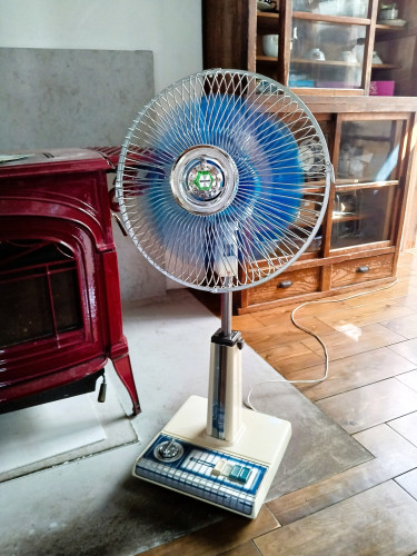 KIMG20250901_091046747-1.JPG
