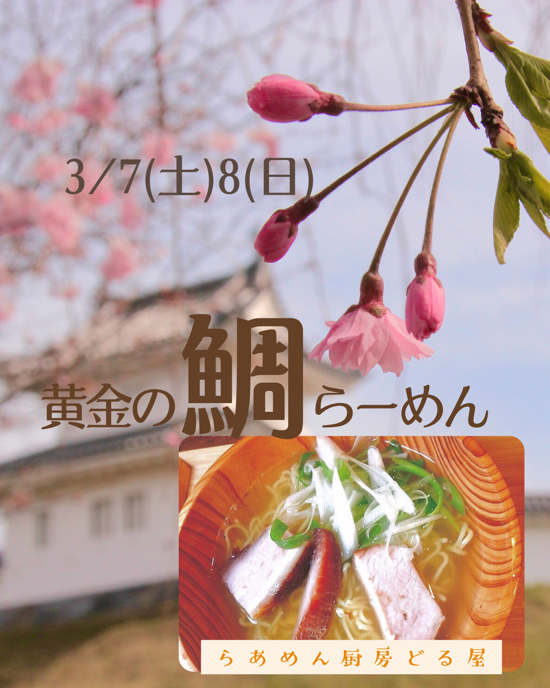 3/7(土)8(日)は黄金の鯛らーめん