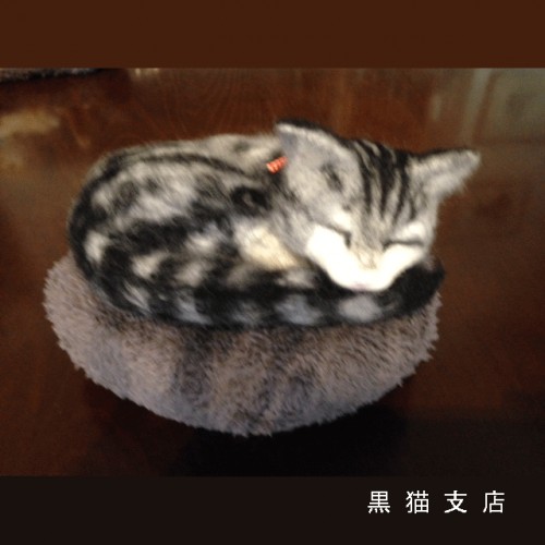4.gif