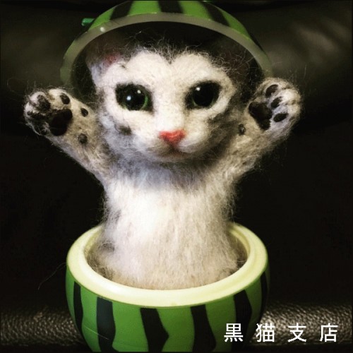 6.gif