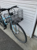 IMG_0952.jpeg