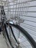 IMG_0977.jpeg