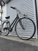 IMG_4925.jpeg
