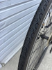 IMG_5135.jpeg