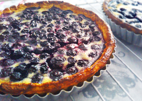 blueberry talto.jpg