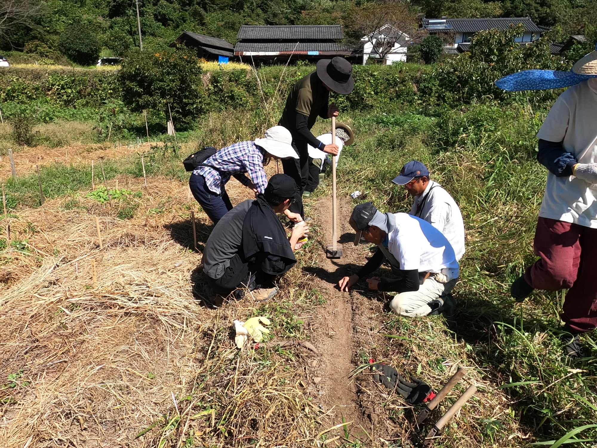 手まき種まきのシーン