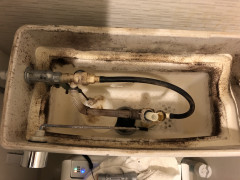 39EB92DC-6EBA-4121-BA88-C74F9C22A017.jpeg