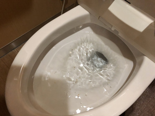 2CAD81D8-071C-4D1E-BF6F-9F283E103C10.jpeg