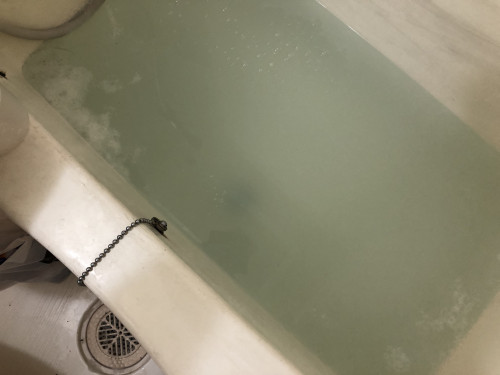 8E93D634-ABE1-40EE-8C3F-E8282B84B3C3.jpeg