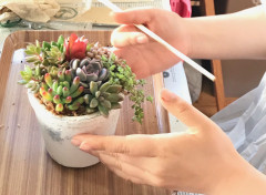 ４コースの寄せ植えレッスン